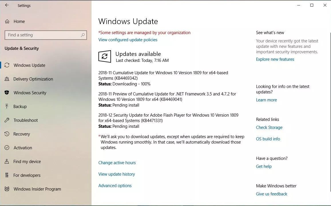 Загрузить Windows 10 Build 17763.168