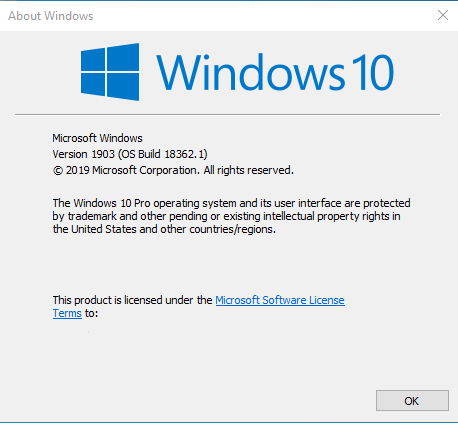 Windows 10 build 18362